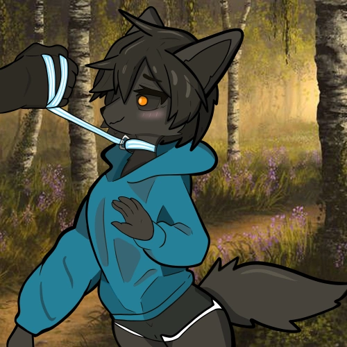 Mir Leashed